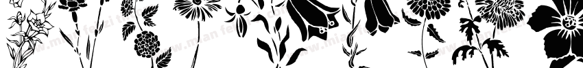 Graphicus DT Demi字体转换